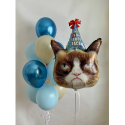 Композиция «Grumpy Cat»